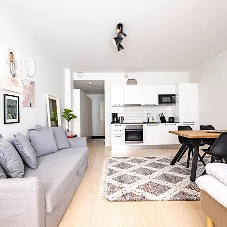 Nice Studio On A Pedestrian Street Daire *